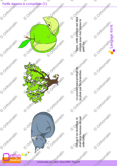 Page 6 de la fiche