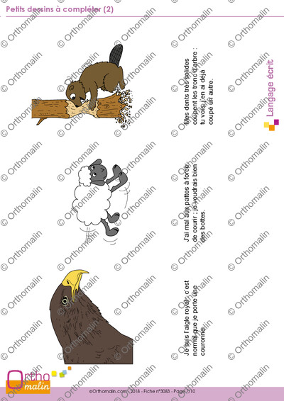 Page 7 de la fiche