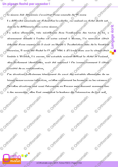 Page 11 de la fiche