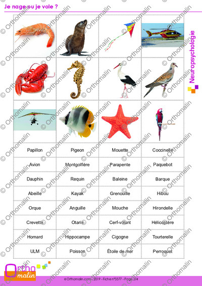 Page 3 de la fiche