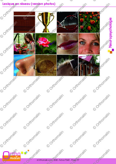 Page 7 de la fiche