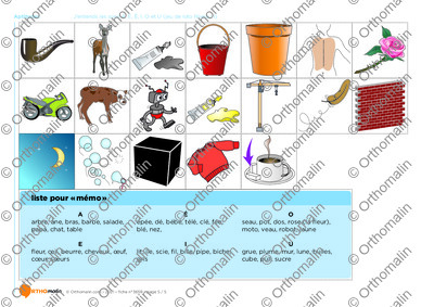 Page 5 de la fiche