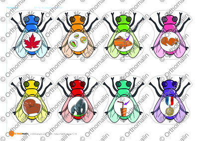 Page 7 de la fiche