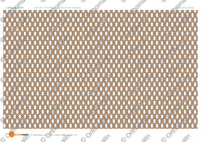 Page 7 de la fiche