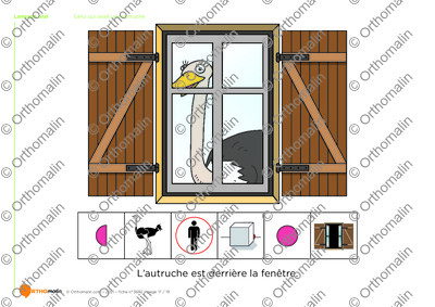 Page 17 de la fiche