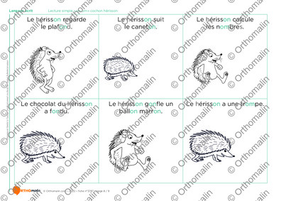 Page 8 de la fiche