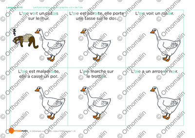 Page 7 de la fiche