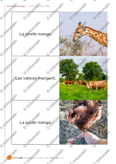 Page 6 de la fiche