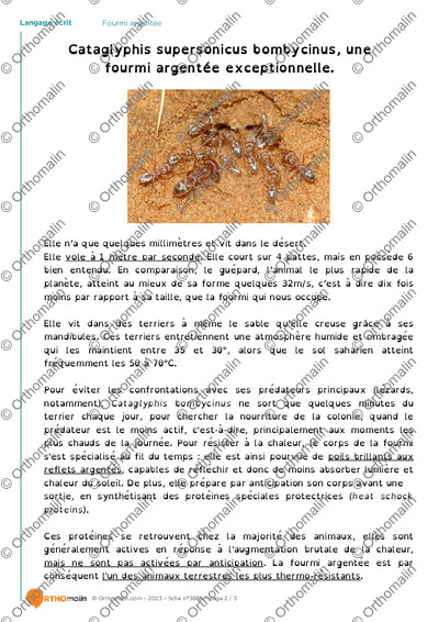 Page 2 de la fiche