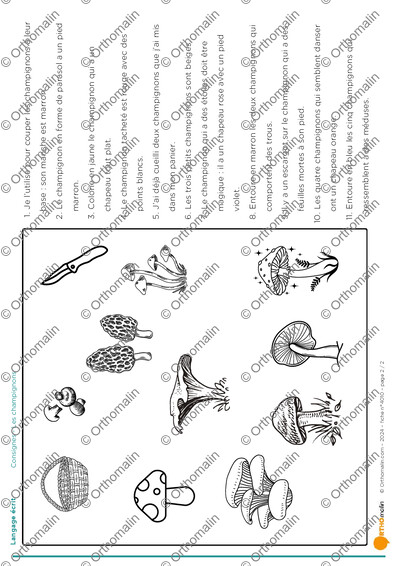 Page 2 de la fiche