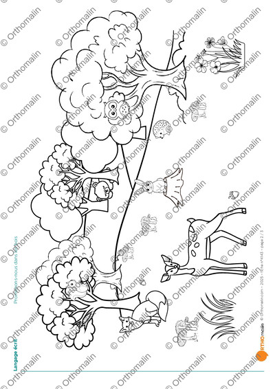Page 2 de la fiche