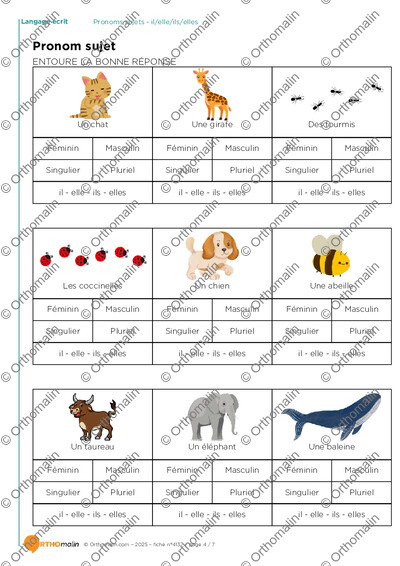 Page 4 de la fiche