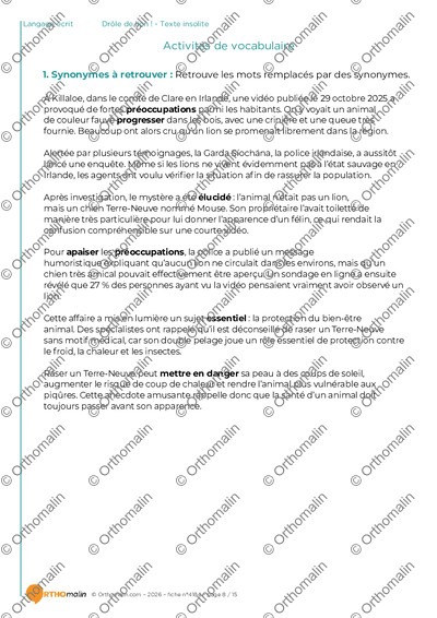 Page 8 de la fiche