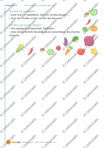 Page 5 de la fiche