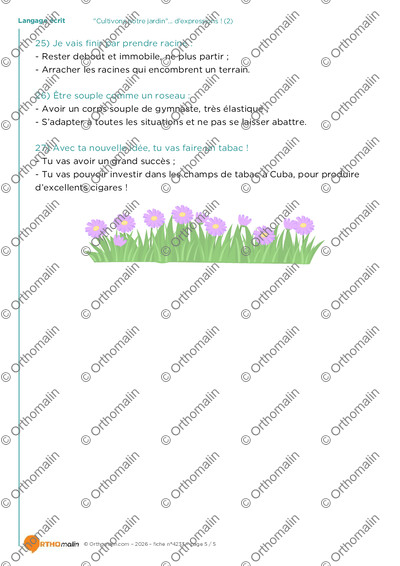 Page 5 de la fiche