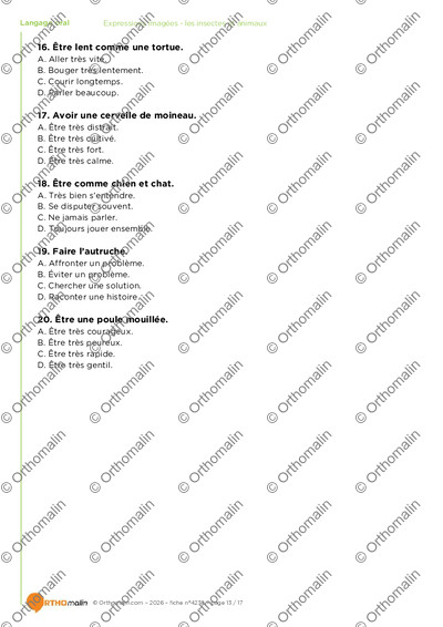 Page 13 de la fiche