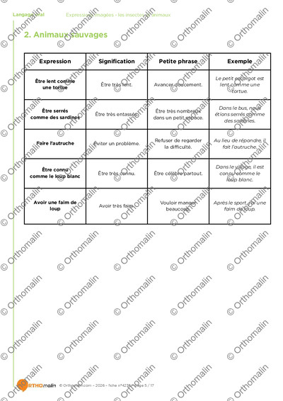 Page 5 de la fiche