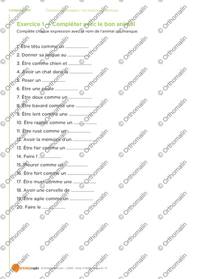 Page 9 de la fiche