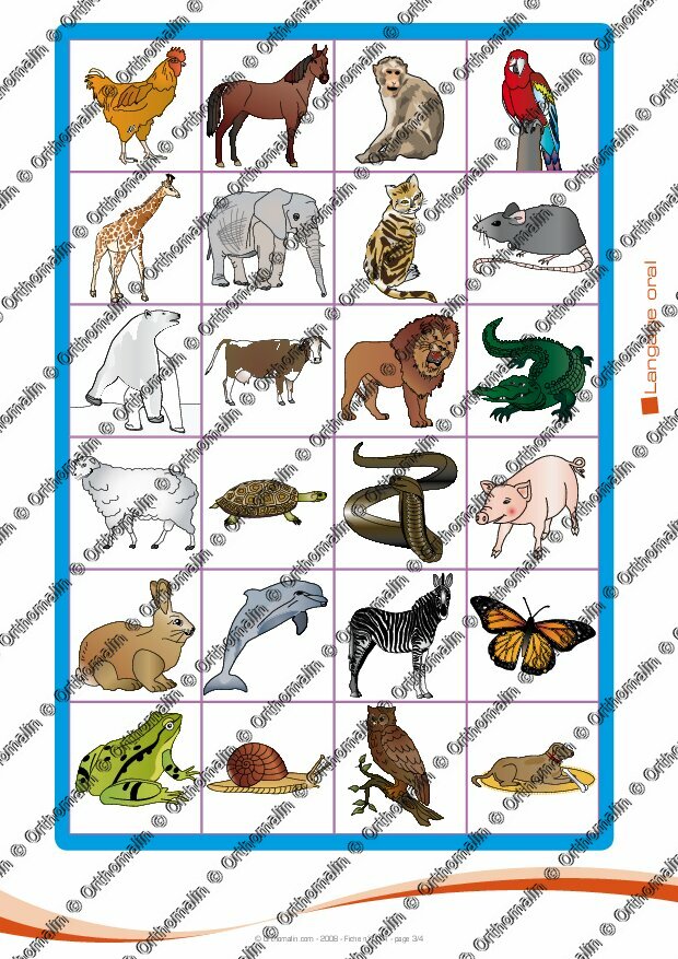 Animal Qui Commence Par Y Ressource orthophonie - Qu'est-ce que c'est ? (les animaux) | Orthomalin