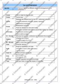 Chronologie de développement : la préhension de 3 mois à 7ans