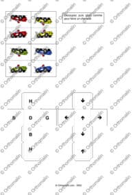 Orientation-Rallye