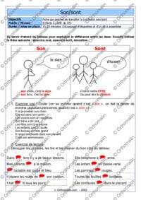 Homophones son/sont