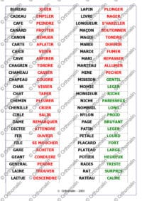 Mots en folie