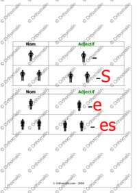Accord de l'adjectif