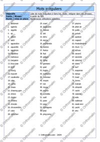 Liste de mots irréguliers