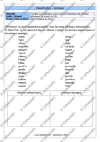 Classification - animaux