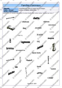 Familles animaux