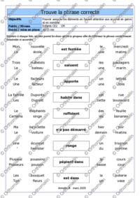 Trouve la phrase correcte