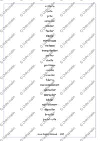 ille / ail / aille / eil / eille