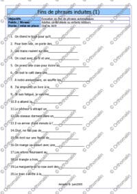 Fins de phrases induites 1