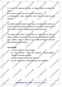 Texte et questions - Radis