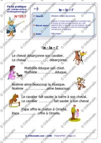 Pronoms le la l'