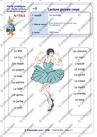 Lecture globale : le corps