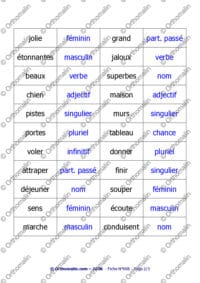 Domino grammaire