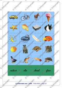 Lecture Flash