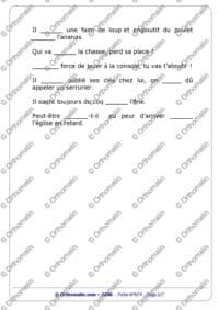 homophones grammaticaux