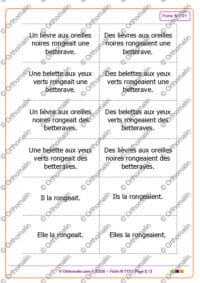 Référents