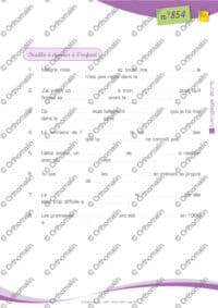 Phrases a trous - Pseudomots règle g - gu -ge
