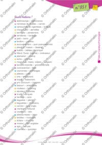 Evocation sémantique : les métiers