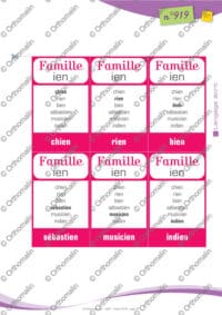 Jeu des familles AIN/IAN EIN/IEN OIN/ION