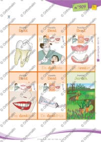 Les familles de mots