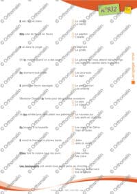 Compréhension des pronoms et morphèmes grammaticaux de genre et nombre