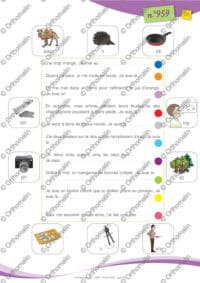 Associations de dessins et de particularités orthographiques