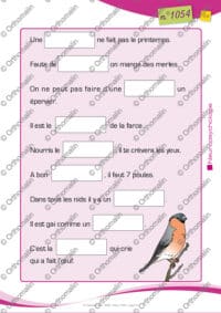 Drôles d'oiseaux