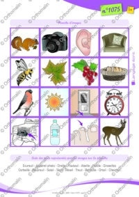 Loto Mémory /eil/ et /euil/