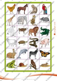 Qu'est-ce que c'est ? (les animaux)